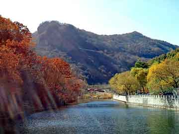 管家婆黑白马报图库，夏利维修